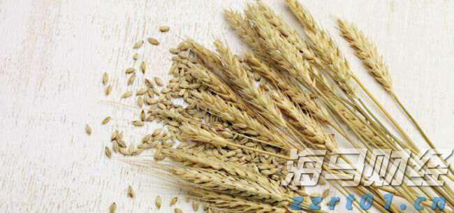磁悬浮风机和罗茨风机对比分析（优缺点分别介绍）